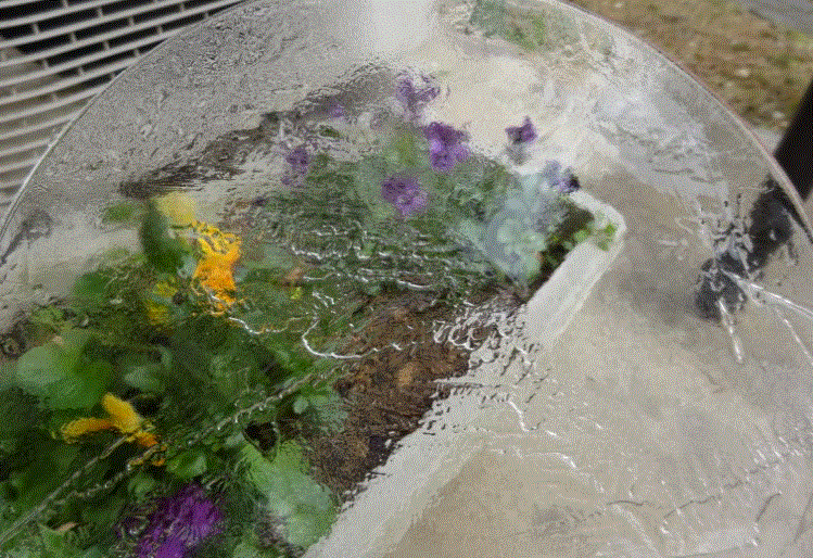 f0231709_15493596.gif