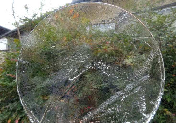 f0231709_15500233.gif