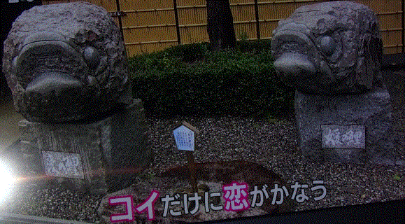 f0231709_16320716.gif
