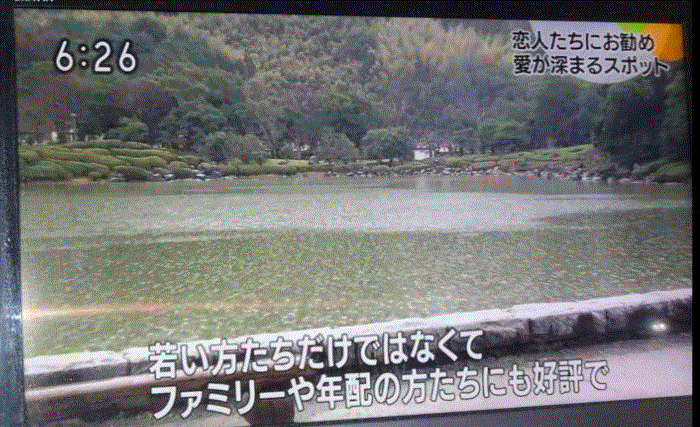f0231709_16463525.gif