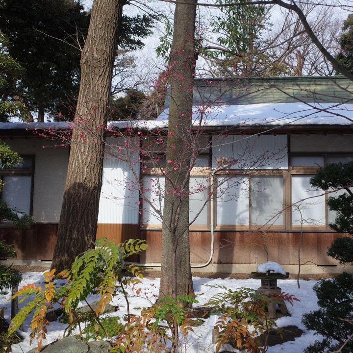 調神社_a0268412_23092014.jpg