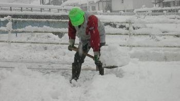 雪掻きで首が動かない_e0097212_08580005.jpg