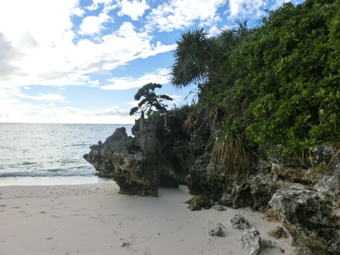 d0221319_11062603.jpg