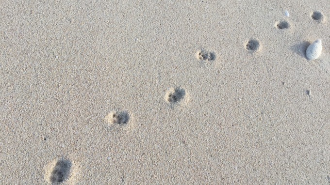 d0221319_11112699.jpeg