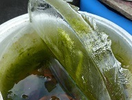 f0000521_06404682.jpg