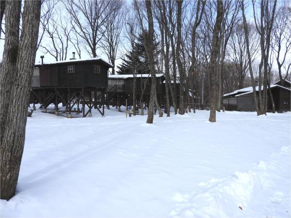 b0174425_14405399.jpg
