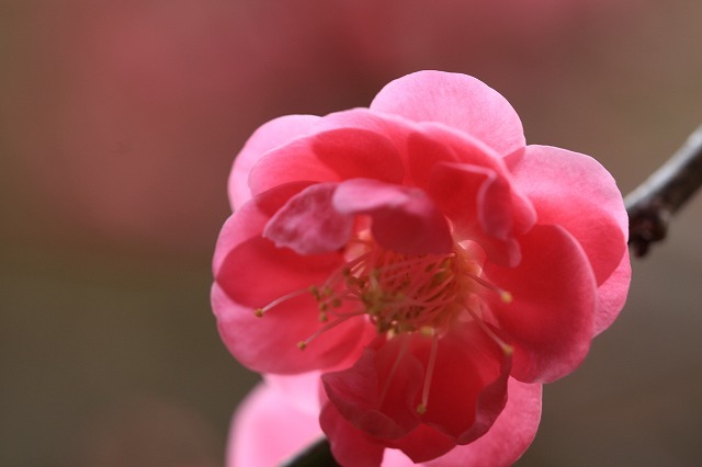 e0321325_14091063.jpg