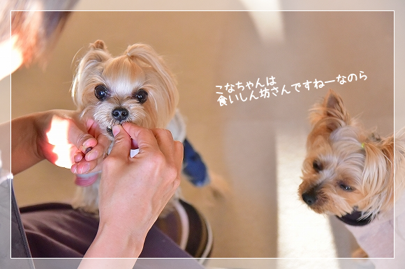d0179828_01421023.png