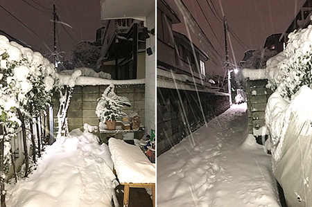 東京に大雪！_c0147631_17153927.jpg