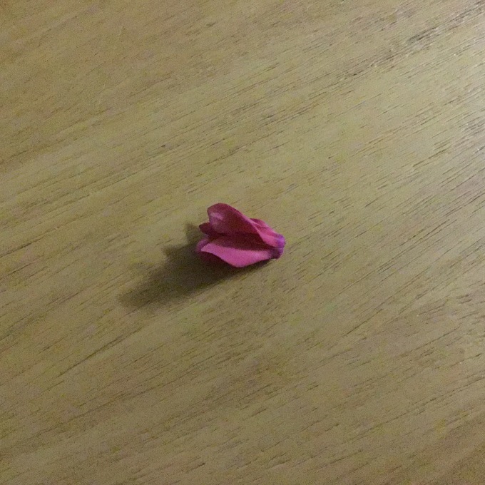 a0329935_07202477.jpeg