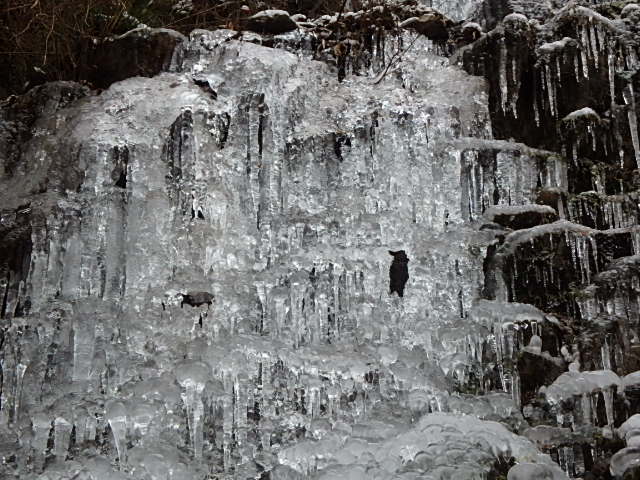 f0334143_20353327.jpg