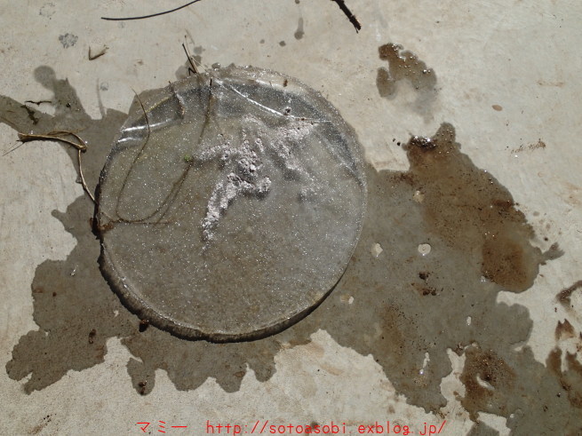 d0105749_17184060.jpg