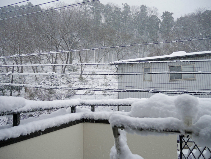 良かった！雪かき１時間で終了【1・22“豪雪地帯”六国見山】_c0014967_2030357.jpg