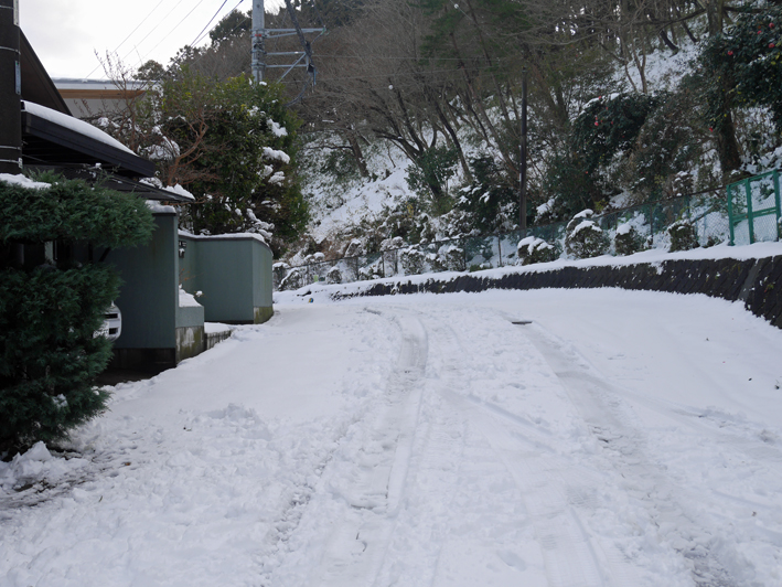 良かった!雪かき1時間で終了【1・22“豪雪地帯”六国見山】_c0014967_20304739.jpg