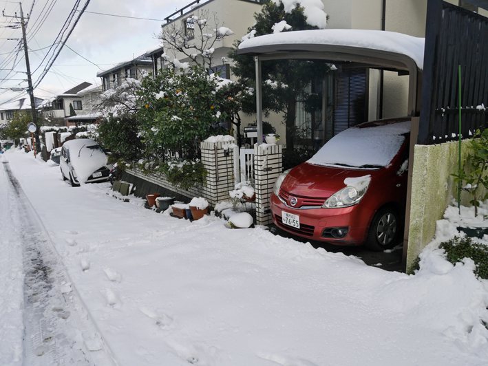 良かった！雪かき１時間で終了【1・22“豪雪地帯”六国見山】_c0014967_20313575.jpg