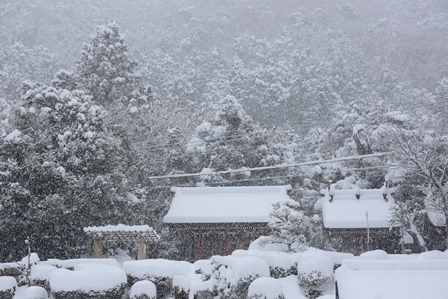 雪の日のドライブ　　湖北～白鬚神社_c0303868_04565298.jpg