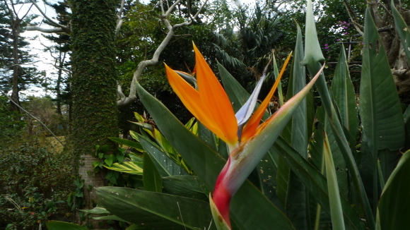 c0212083_17252301.jpg