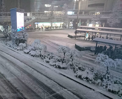 八王子見て歩記 18大雪 八王子見て歩記 八王子見て歩記 18大雪 八王子見て歩記