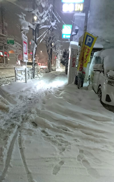 八王子見て歩記 18大雪 八王子見て歩記 八王子見て歩記 18大雪 八王子見て歩記