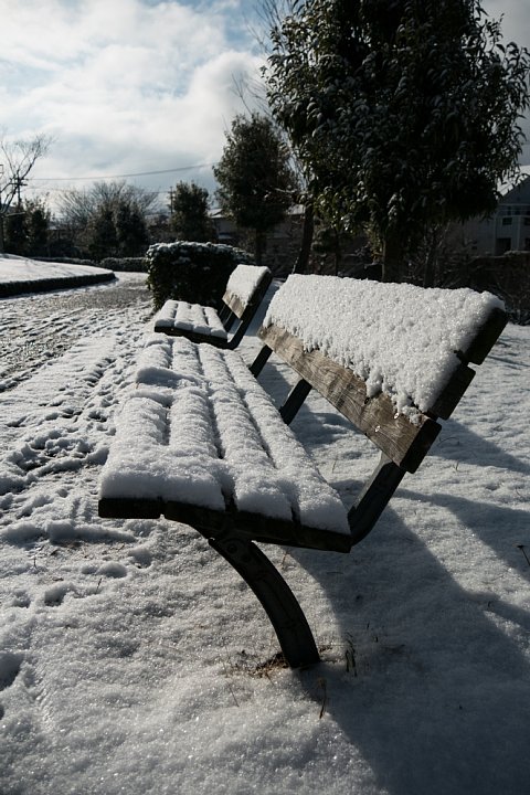 朝日に輝く雪の公園_d0353489_11183858.jpg