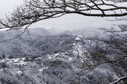 雪景　～吉野上千本_e0366896_18195402.jpg