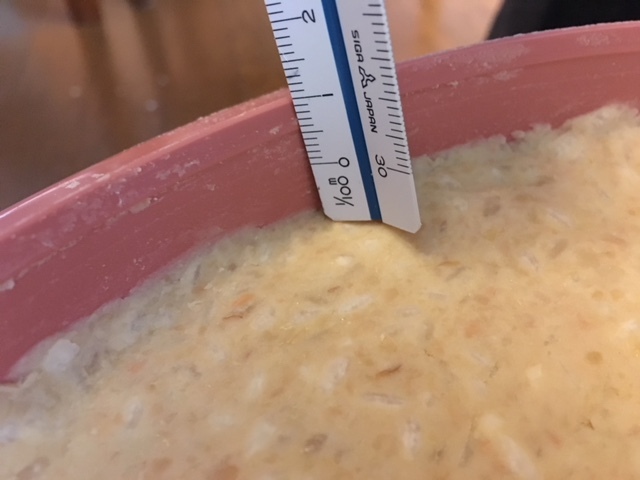 f0314196_21442043.jpeg