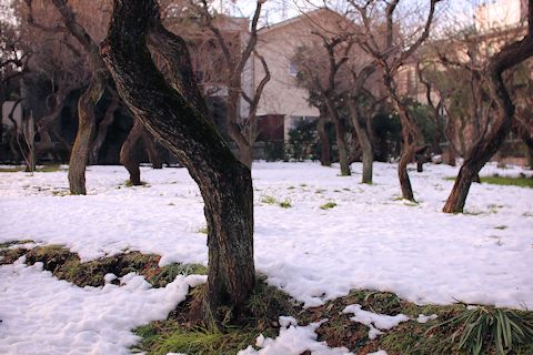 c0090198_17452763.jpg