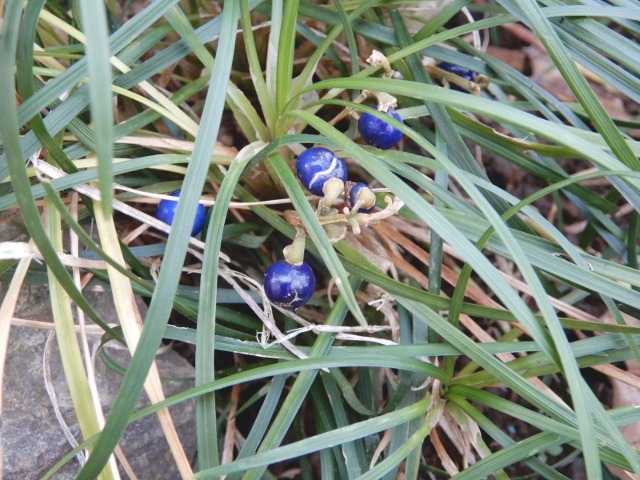 e0025300_1351252.jpg