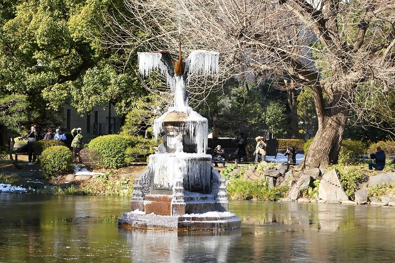 「翼も氷る」東京の新名所には、早朝からカメラマンが集まります（日比谷公園）_b0291402_07575483.jpg