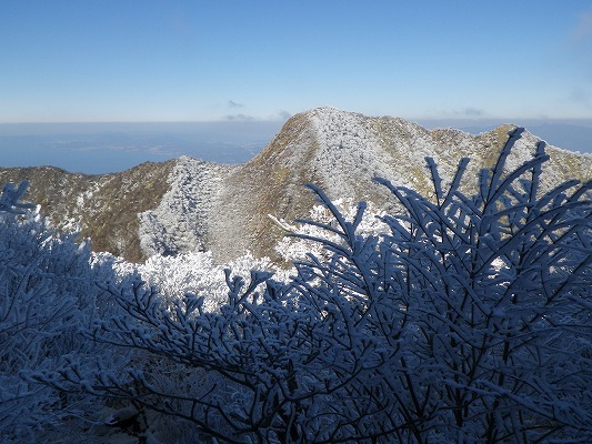 f0187402_20111038.jpg