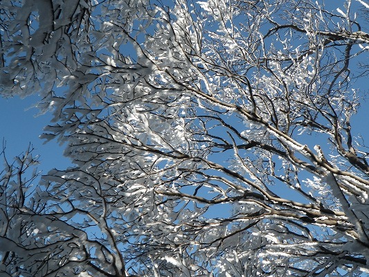 f0187402_20121196.jpg