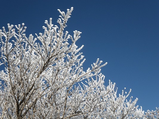 f0187402_20122246.jpg
