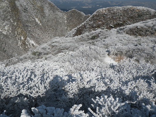 f0187402_20125805.jpg