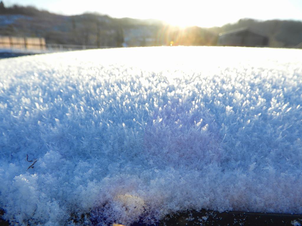 雪が降った日に・・・_e0372207_09421244.jpg