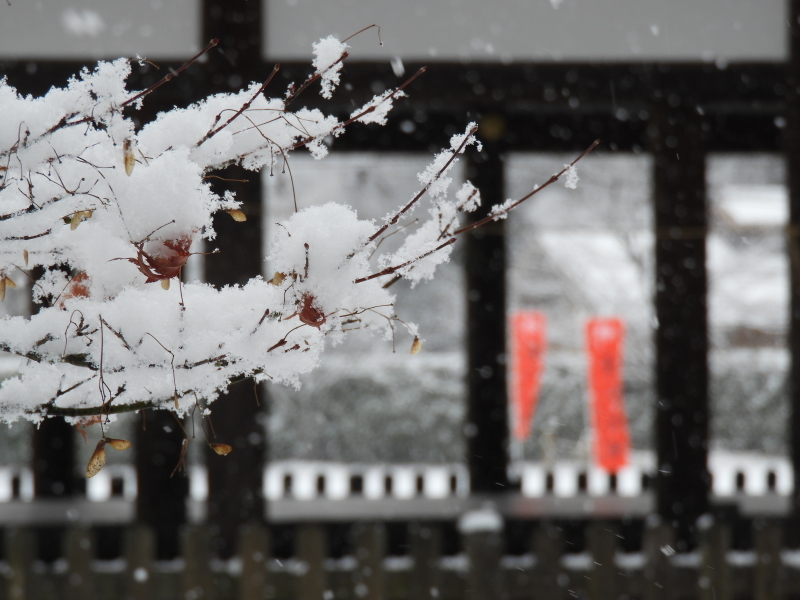 雪に埋まる上賀茂神社_e0048413_21490193.jpg