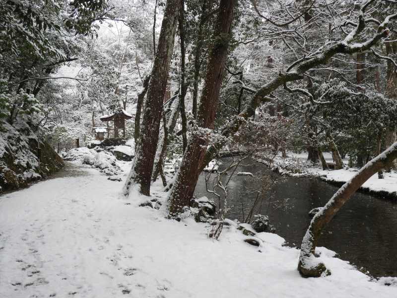 雪に埋まる上賀茂神社_e0048413_21493538.jpg