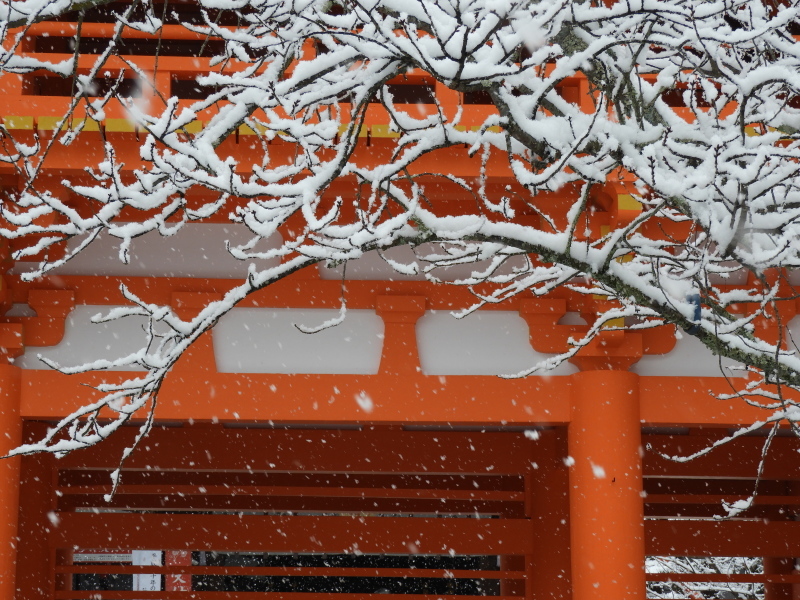雪に埋まる上賀茂神社_e0048413_21494317.jpg