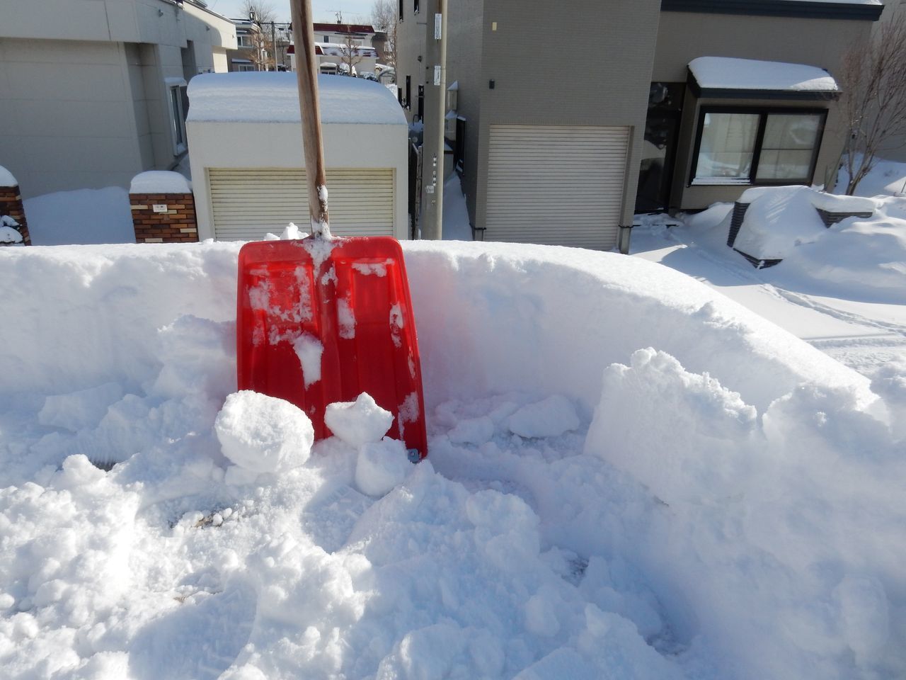 ようやく雪が止んだ_c0025115_21342551.jpg