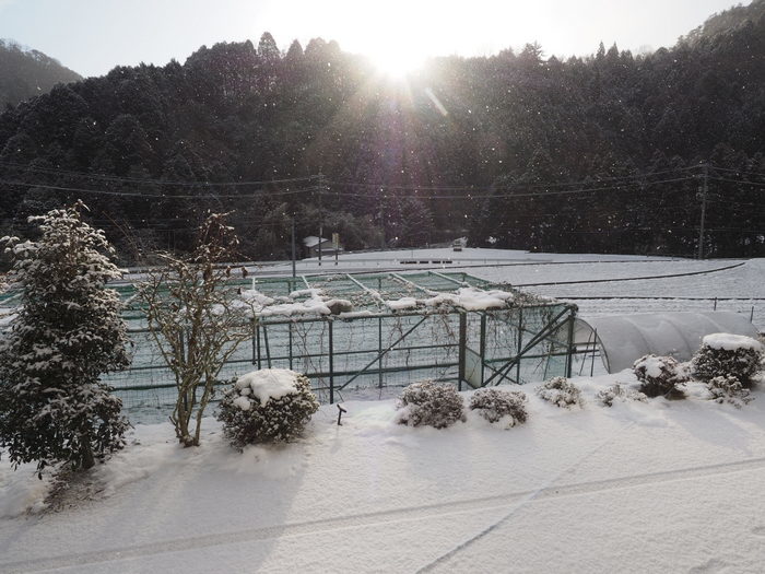 今朝も雪景色、その後、晴れ_c0116915_23194692.jpg