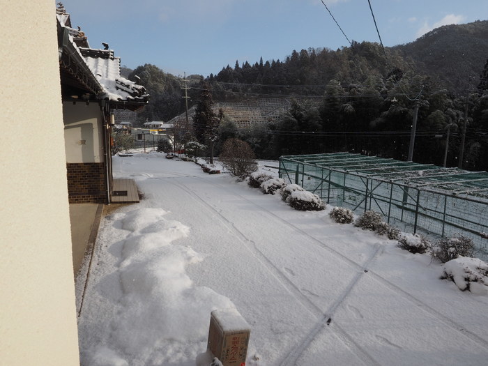 今朝も雪景色、その後、晴れ_c0116915_23200337.jpg