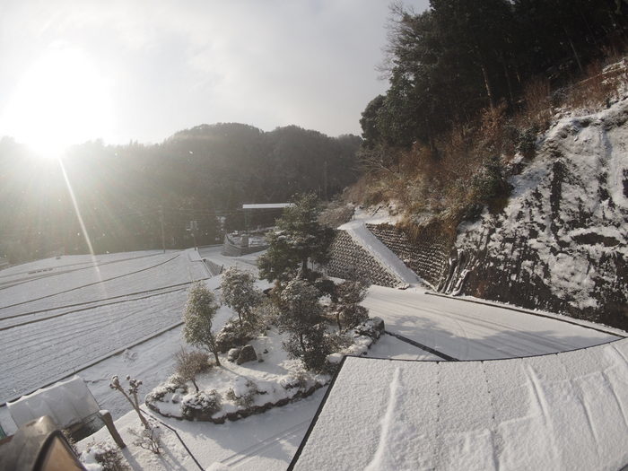 今朝も雪景色、その後、晴れ_c0116915_23215665.jpg
