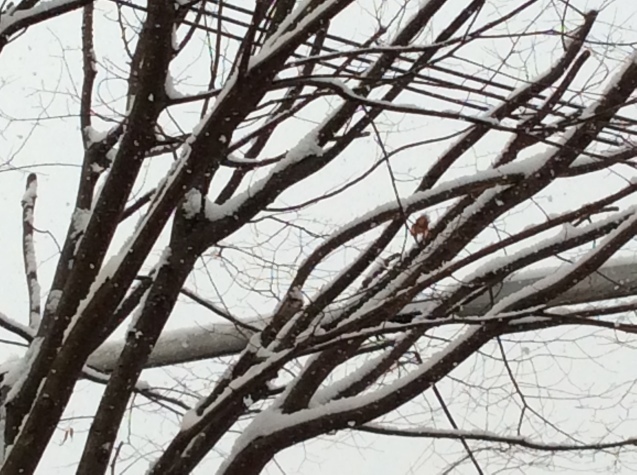 b0344816_09594976.jpeg
