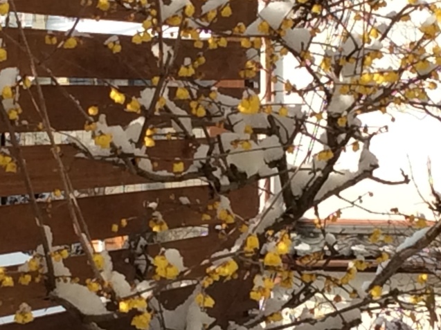 b0344816_10000142.jpeg