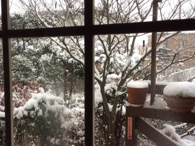 b0344816_11033459.jpeg