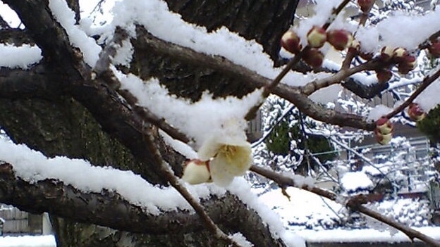 b0325317_14514934.jpeg