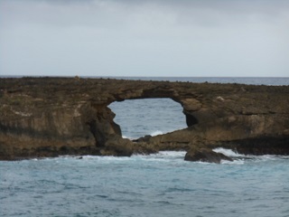 a0242019_05540333.jpg