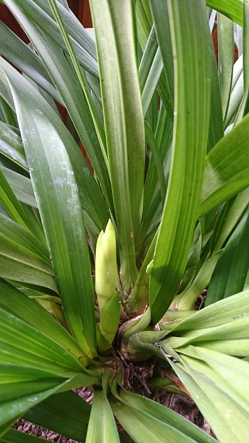 f0228619_16595997.jpg