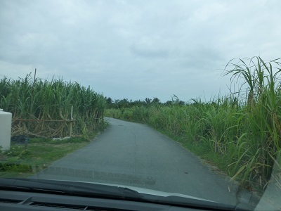 c0227720_00434276.jpg