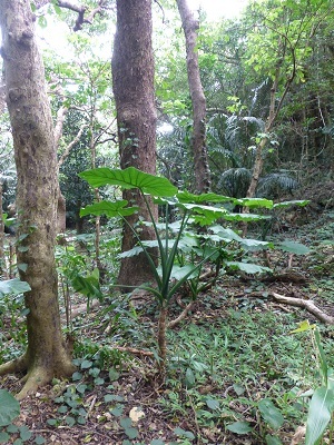 c0227720_01203487.jpg