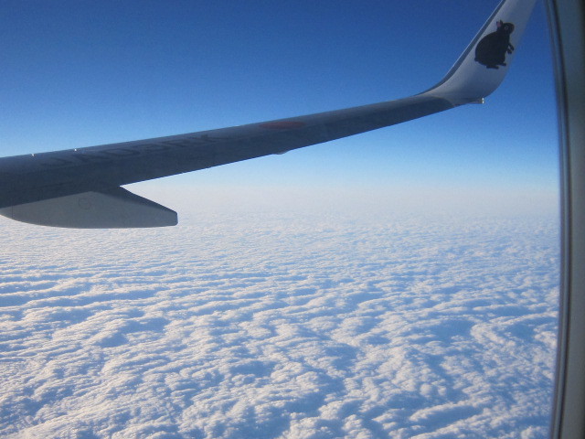 d0162225_23024523.jpg